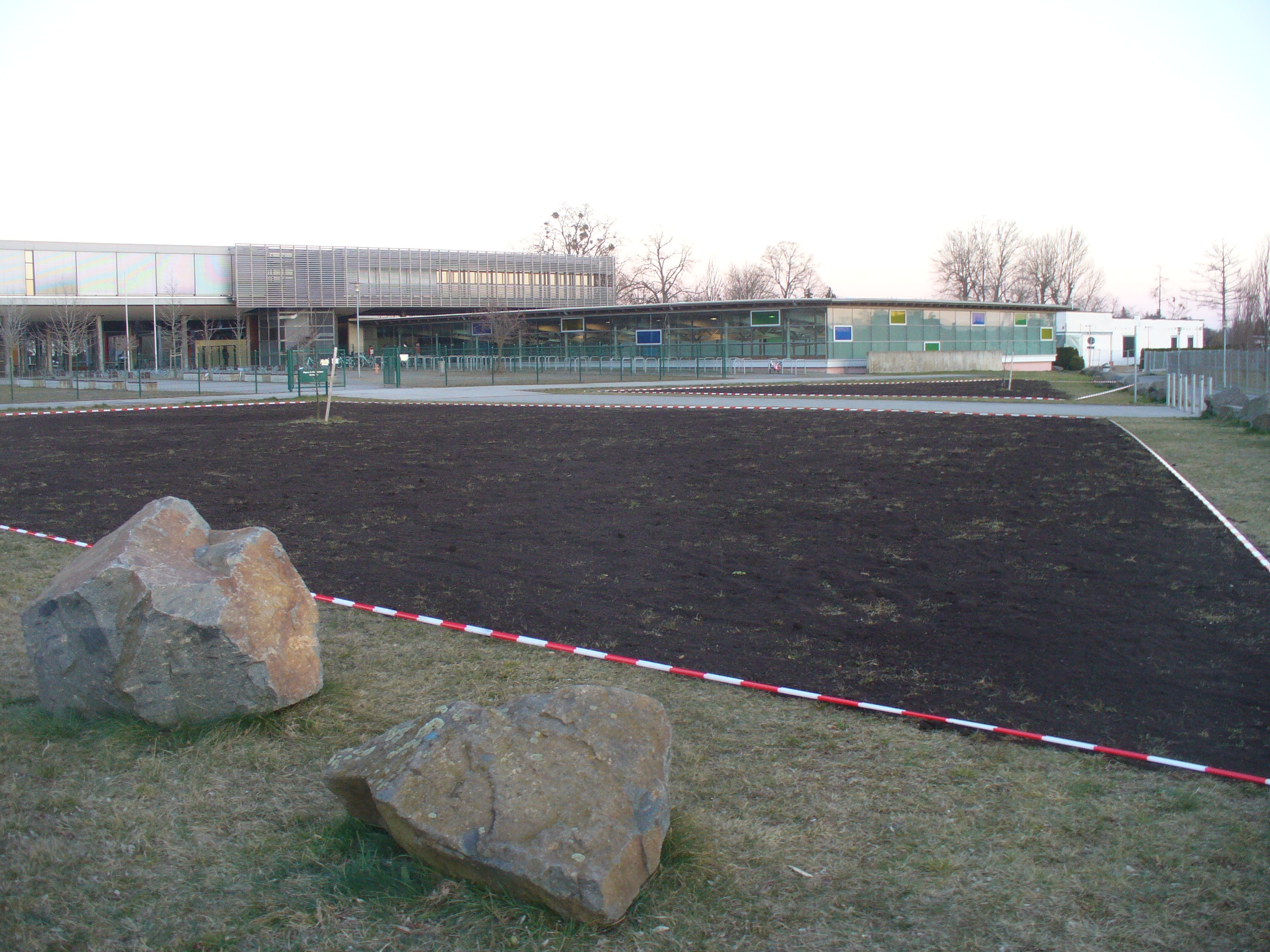 Stadtverwaltung und Gymnasium äußern sich zu Blühwiesenprojekt