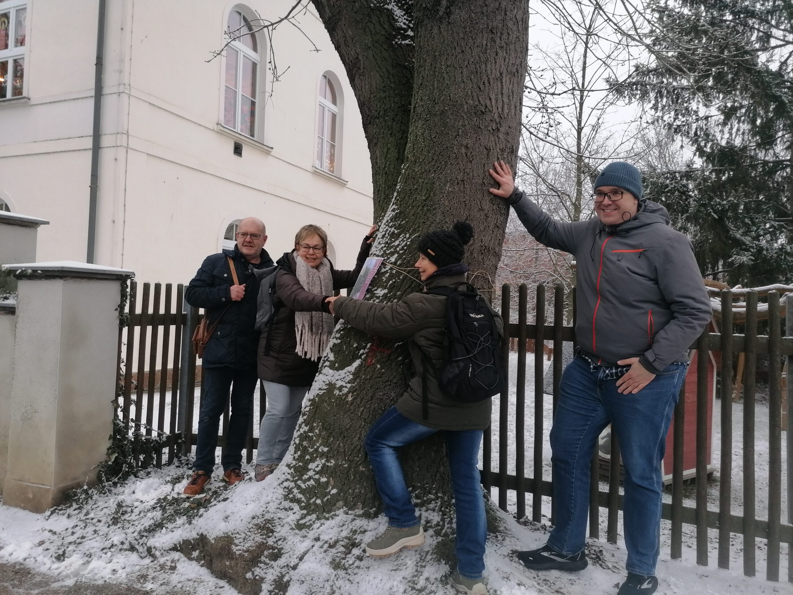 Wurzener Bürgerinitiative will Straßenbäume retten