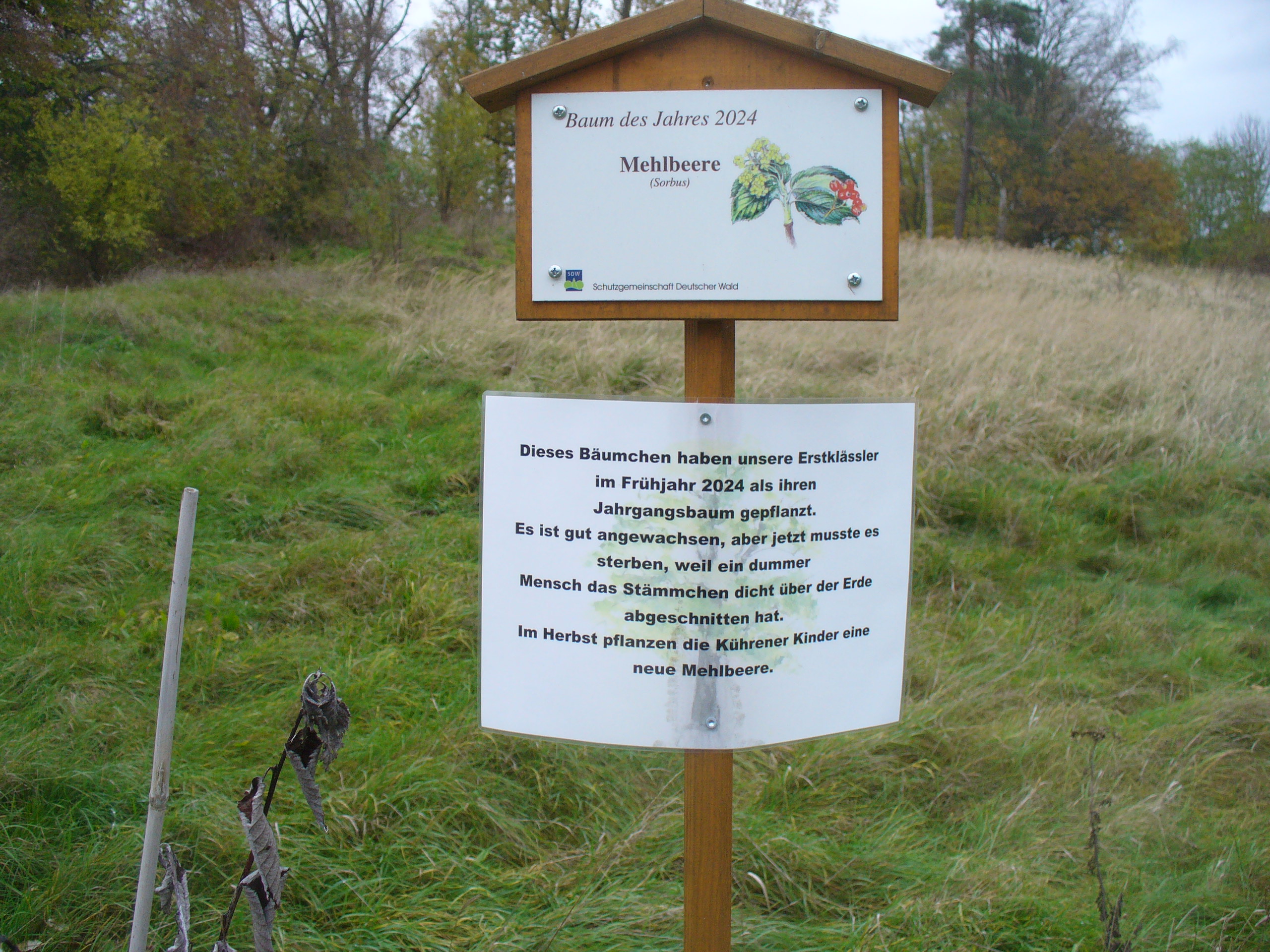 Vandalismus am Kührener Höckerberg